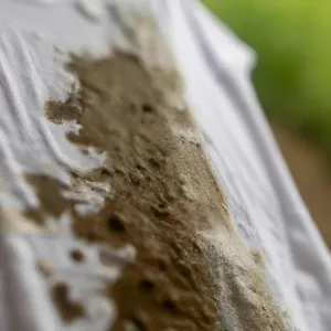 Świeża mięta w białej doniczce na stole, z kroplami wody na liściach, w jasnej, minimalistycznej kuchni.